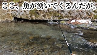 【2023渓流釣り解禁】魚が湧いてくる場所見つけた‼︎