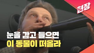 [현장영상] ‘이 소리도 아니라고?’ 5년 연속 우승자의 소리는? / KBS 2025.02.03.