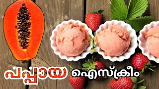 വീട്ടിൽ പപ്പായയുണ്ടോ😋😋😋 എങ്കിൽ ഉണ്ടാക്കി നോക്കു ഈ ഐസ് ക്രീം| Homemade Icecream|Pappaya Icecream||