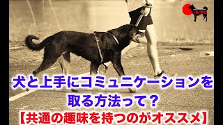 犬と上手にコミュニケーションを取る方法って？【共通の趣味を持つのがオススメです】　PSDドッグサポートセンター　いぬプロ　犬プロ　inupro 犬のしつけ　教育　ドッグトレーニング　リハビリ