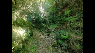 Part of a 19km hike in Kardamili, Peloponnese - Greece