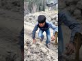 kanha ko papa ne saap se bacha liya 😱🐍 shorts kanha snake funny