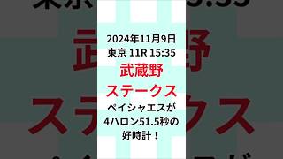 【武蔵野ステークス調教予想】11月9日 #武蔵野ステークス #デイリー杯2歳ステークス #jra予想 #当たる競馬 #万馬券的中 #当たる競馬予想 #競馬 #jra騎手