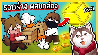 หมาสติแตกผสมรวมร่างกล่องเก่าๆเป็นกล่องทอง! 🐾