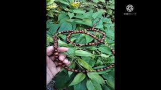 JUAL TASBIH KAUKA 12 mm, Bisa COD /085790445634