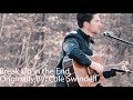 Break Up in the End - Cole Swindell Cover