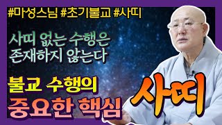 마성스님, 수행에 사띠가 없다면 그것은 수행이 아니며 불교도 아니다.