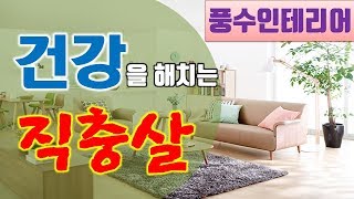 [풍수] 풍수로 공간에 건강을 심다! [\