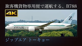 4K 旅客機貨物専用便の運航で、スワンナプーム国際空港から夏の成田国際空港に飛来する  ジップエア トーキョー(ZIPAIR Tokyo)  初号機  Boeing 787-8  JA822J