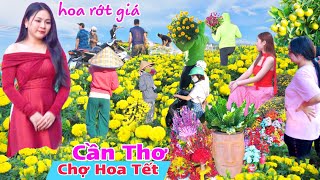 Chợ Hoa Tết Cần Thơ 2024 hạ giá vạn thọ, cúc mai nhiều kiểng độc lạ xuất hiện