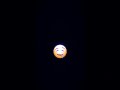 EMOJI VIRAL JEDAG JEDUG KURAIH BINTANG CCP