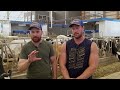 loveridge farms shares about their switch to delaval robots