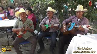 Trio 3 Amigos de Xiquila, Huejutla, Hidalgo Video 1