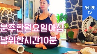 월요일아침 10분요가.분주한마음 평정심찾기.최고방법