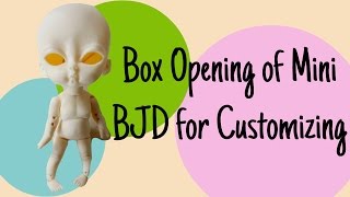 Box Opening of Mini BJD to Customize