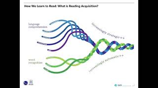 Science of Reading: Analyzing \u0026 Responding to Data in Foundational Literacy