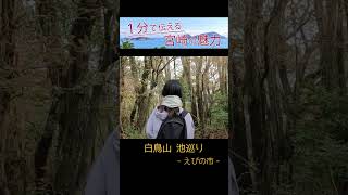 【宮崎県えびの市】白鳥山池巡り（登山）