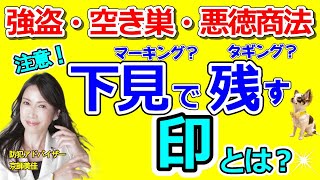 注意！強盗・空き巣・悪徳商法が下見で残す印とは？！防犯アドバイザーが伝授します！（ 第250 回京師美佳流防犯対策Bible）