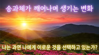 송과체가 깨어나며 생기는 변화 | 나는 과연 나에게 이로운 것을 선택하고 있는가 | 송과체 활성화에 도움되는 음원 공유합니다