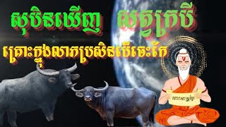 សុបិនឃើញសត្វក្របី មានគ្រោះក្នុងលាភប្រសិនបើចេះកែ