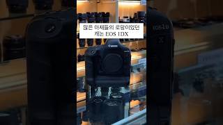 궁금하셨던캐논 EOS 1DX / EOS R3 크기 비교. #캐논eosR3 #캐논미러리스카메라