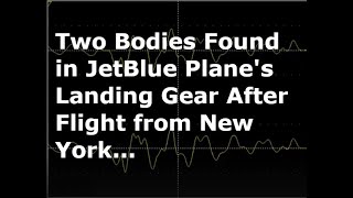 Two bodies found in JetBlue landing gear, at Fort Lauderdale-Hollywood International Airport.