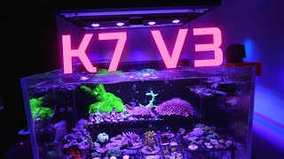 Can you grow coral with cheap led light? The short answer is YES!