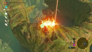 Zelda BOTW: Accidentally landed on Keese nest...
