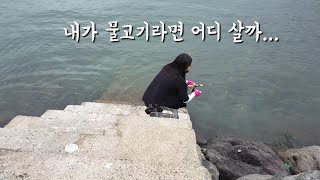 제주도 낚시 구멍치기/고망치기/구멍우럭을 잡아보자