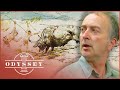 Newport's Vanishing Neolithic Treasures | Time Team | Odyssey