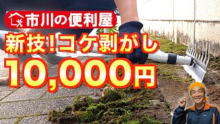 [New technique! Moss removal] 10,000 yen work digest to clean around a mansion in Minato Ward