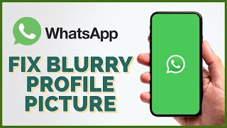 How to Fix a Blurry Profile Picture on WhatsApp 2023?