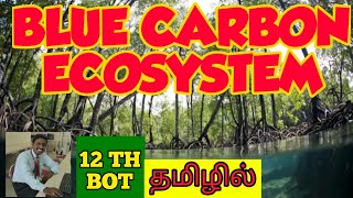 BLUE CARBON ECOSYSTEM | TAMIL | MANGROVES | SEA GRASS | STD 12