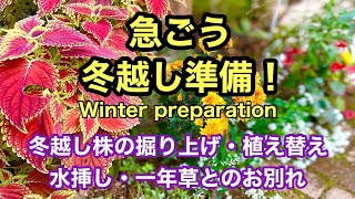 冬越し株の堀り上げと植え替え・水挿し・一年草のお別れなど　冬越し準備を進める動画です。#ガーデニング #japanesegardening #gardening