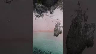 Pesona Pink Beach Labuan Bajo #shorts #shortvideo #labuanbajo #pinkbeach