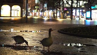 Curfew in Stuttgart, Gemany