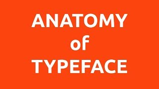 What is Typography? Every Beginner Graphic Designer must know