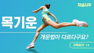 목기운 머리를 기르라구요? 목기운개운법, 목과다,수과다사주 목이필요한사주