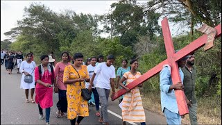 மன்னார் மறைமாவட்ட இளைஞர்களின் பாதையாத்திரை | Madhu to periyakaddu and subscribe please 🙏