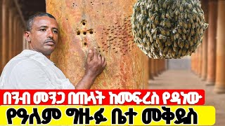 ♦️ከምሰሶው ቀዳዳ የወጡት ንቦች በዓለም ግዙፉን ቤተ መቅደስ በጠላት እንዳይፈርስ ታደጉት♦️