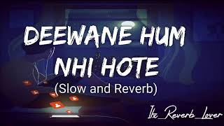 Deewane Hum Nhi Hote [Slowed+Reverb]