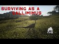 Surviving as a Gallimimus on the Official Servers | The Isle: Evrima