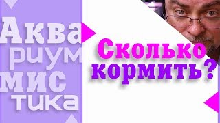 #Аквариумистика. Основные понятия. Сколько кормить рыб. #shorts