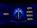 शरीर में पांच प्राण का कार्य क्या है what is the function of the five pranas in the body