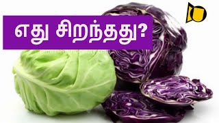 எது சிறந்தது? பச்சையா? சிவப்பா? | Green And Purple Cabbage difference