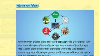 ৫ম অধ্যায়ঃ সালোকসংশ্লেষণ (৫.১- ৫.৪) ৫.১ জীবজগতে সালোকসংশ্লেষণের গুরুত্ব ও তাৎপর্য