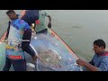 மீண்டும் வலையில் அதிகபடியான மீன் பாறை மீன் excess fish in the net again rock fish