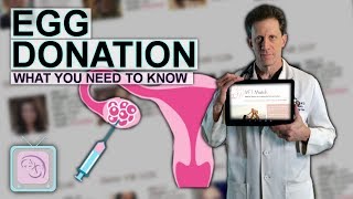 All about egg donation - Pt 1 - For Egg Donor recipients