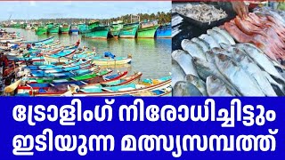 ഇടിയുന്ന മത്സ്യസമ്പത്ത് |Trolling | Fishing Kerala