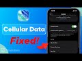 iOS 26 Cellular Data / Moblie Data Not Working - Here is the Fix!
